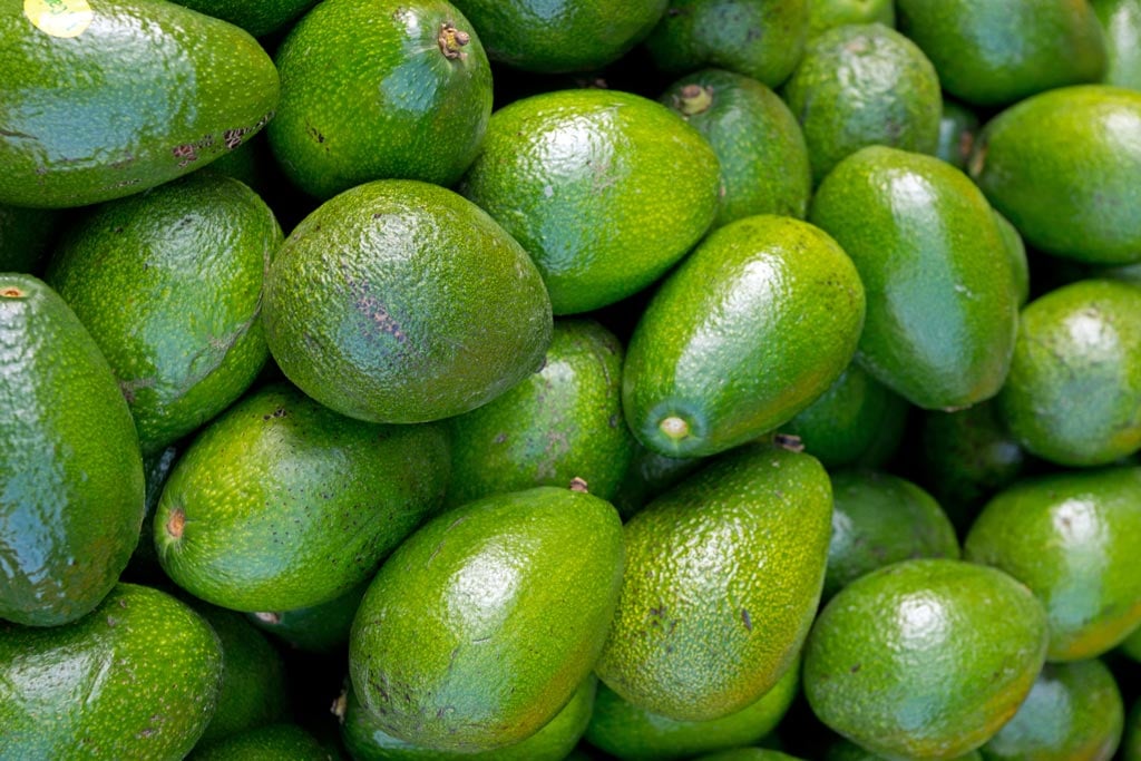 Aguacates edible coating