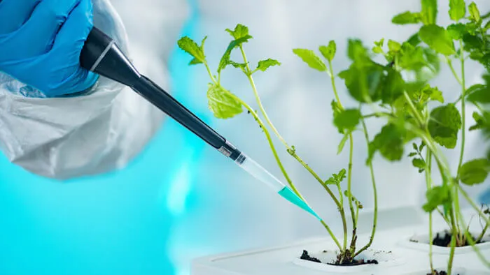 biotecnologia aplicada a agricultura