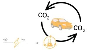 Plantas y microbios convierten CO2 en energía