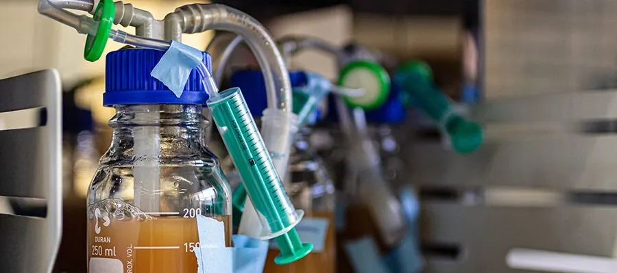 Biodegradación y reciclado enzimático: la clave para la descomposición sostenible de los materiales