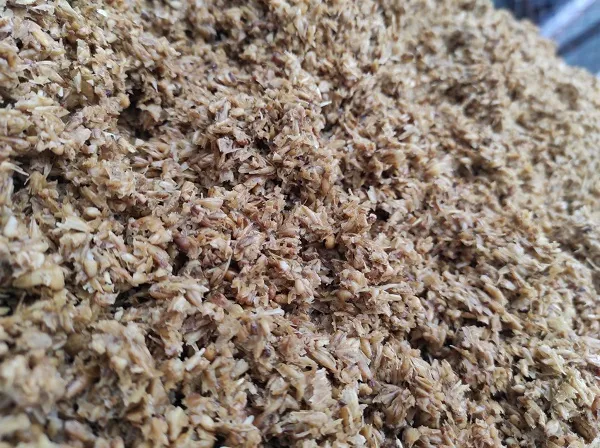 Brewer spent grain baja