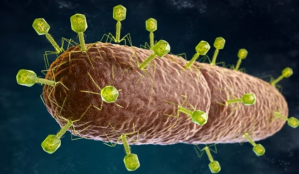 microfago web