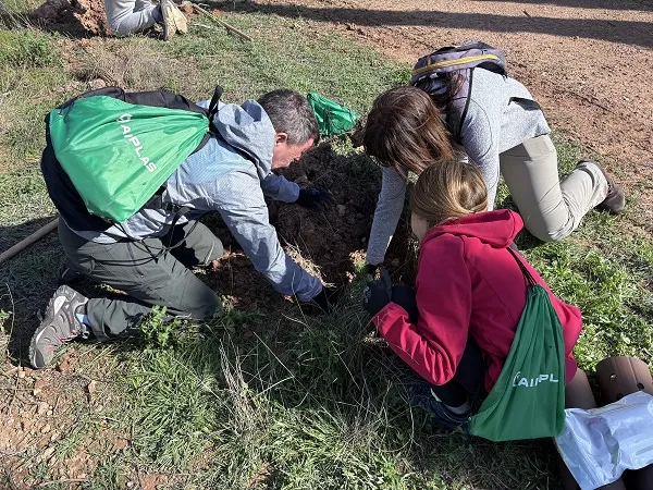 bosque AIMPLAS absorción co2