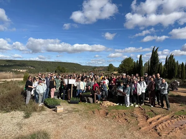 bosque absorción co2