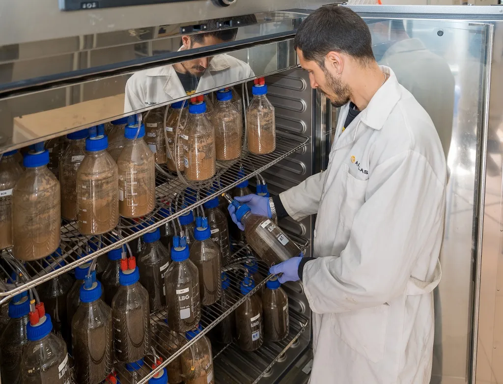 biodegradabilidad y compostaje